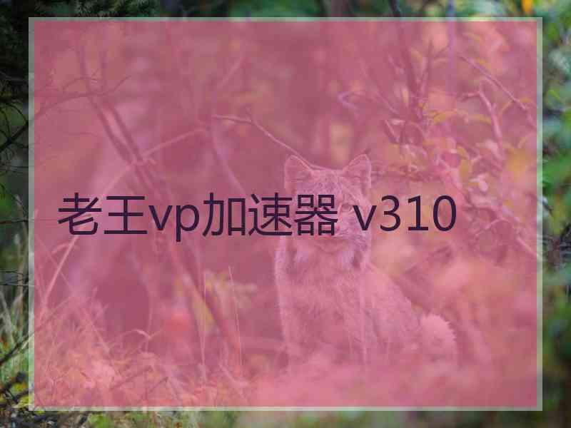 老王vp加速器 v310