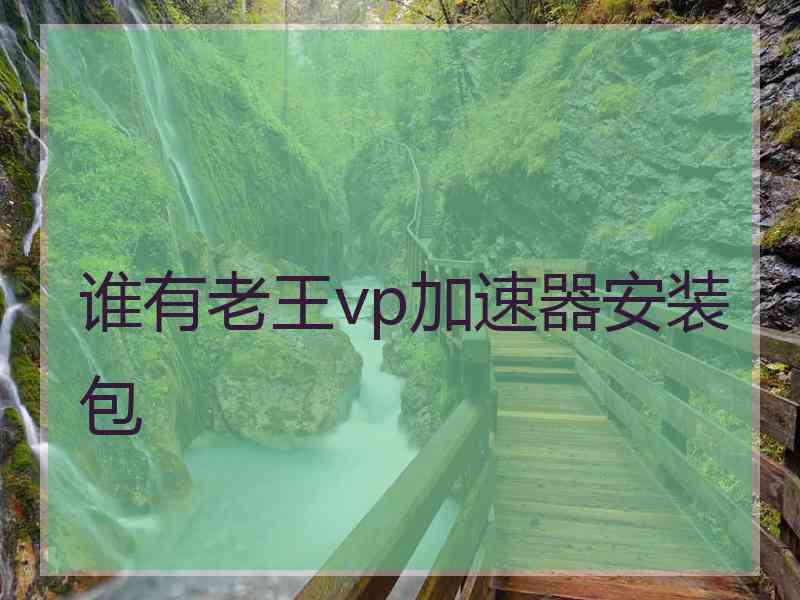 谁有老王vp加速器安装包