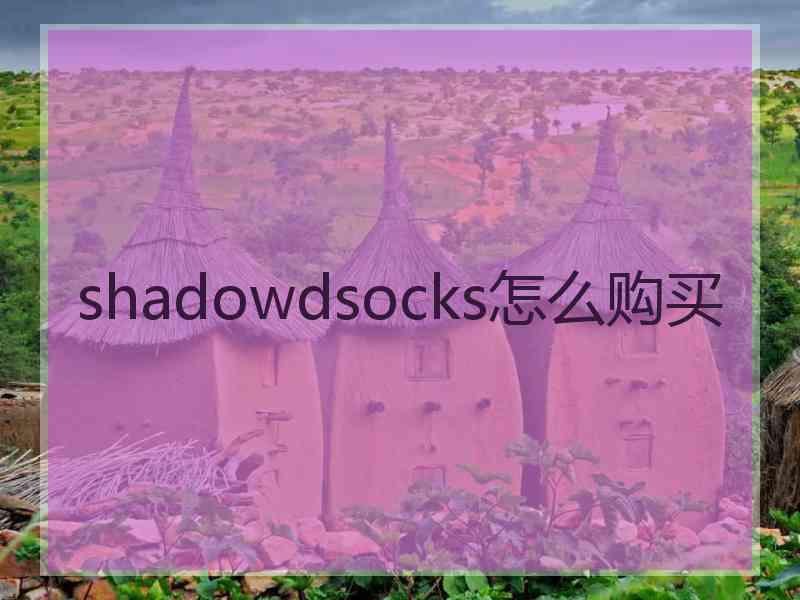 shadowdsocks怎么购买