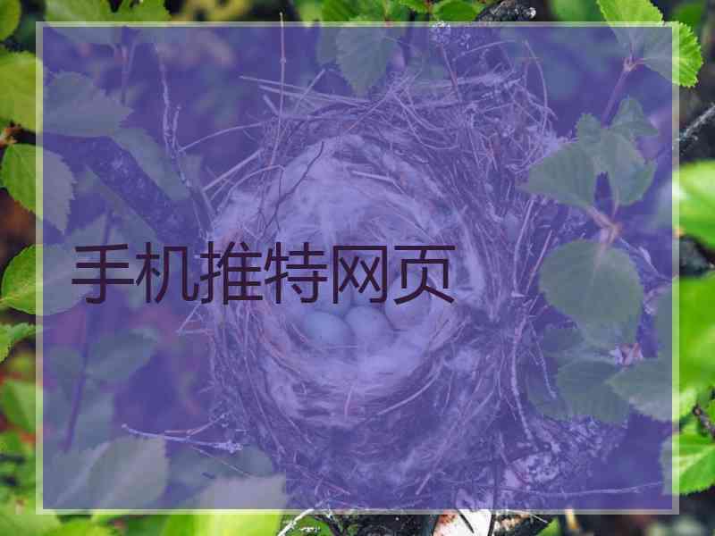 手机推特网页