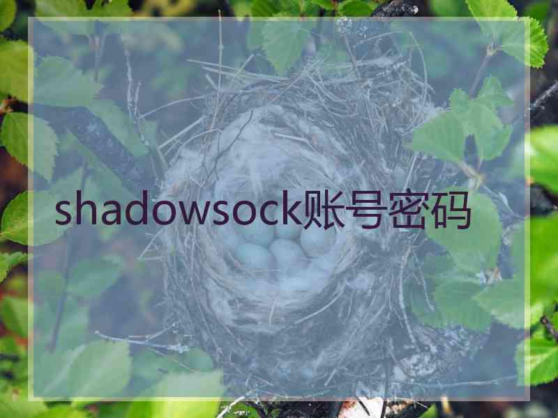 shadowsock账号密码