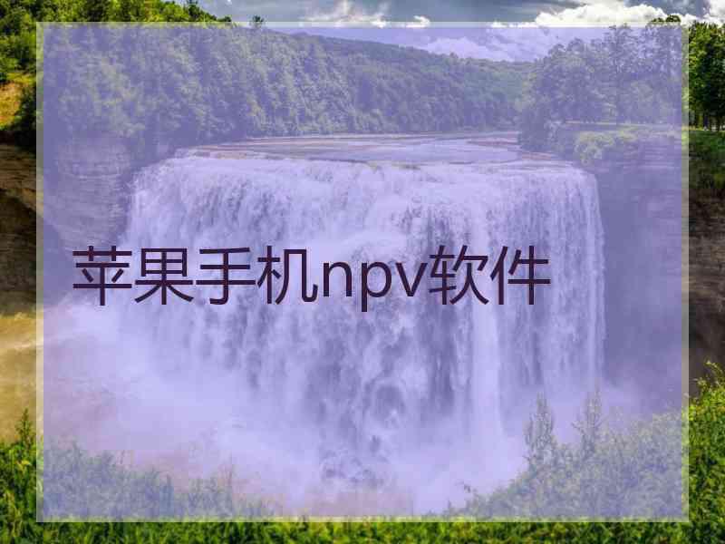 苹果手机npv软件