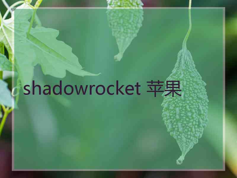 shadowrocket 苹果