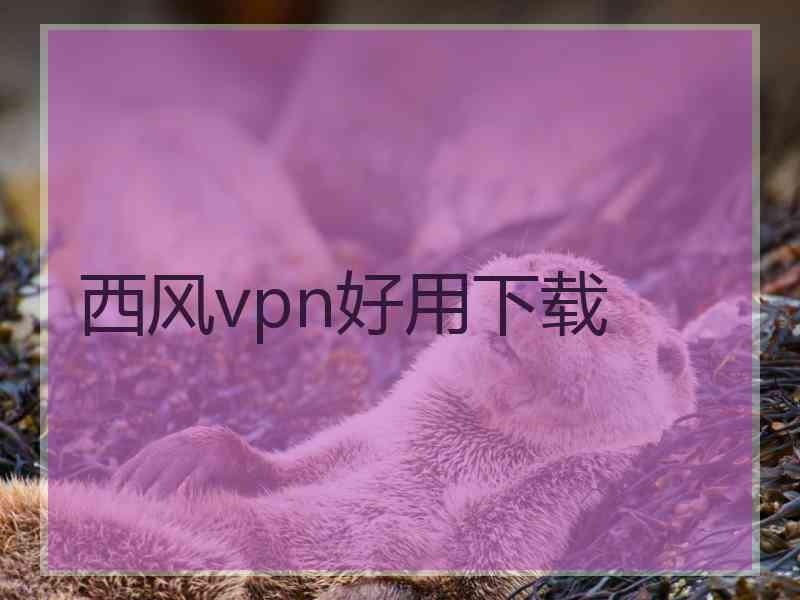 西风vpn好用下载