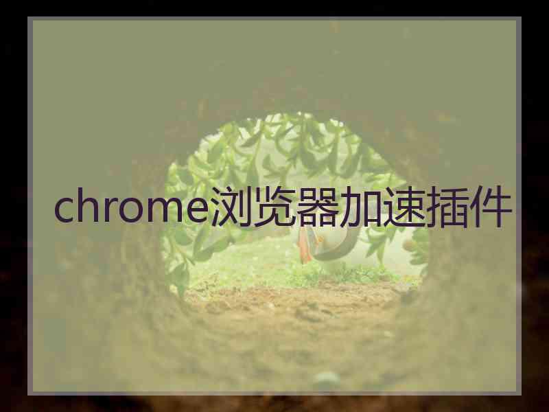 chrome浏览器加速插件