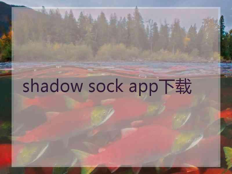 shadow sock app下载