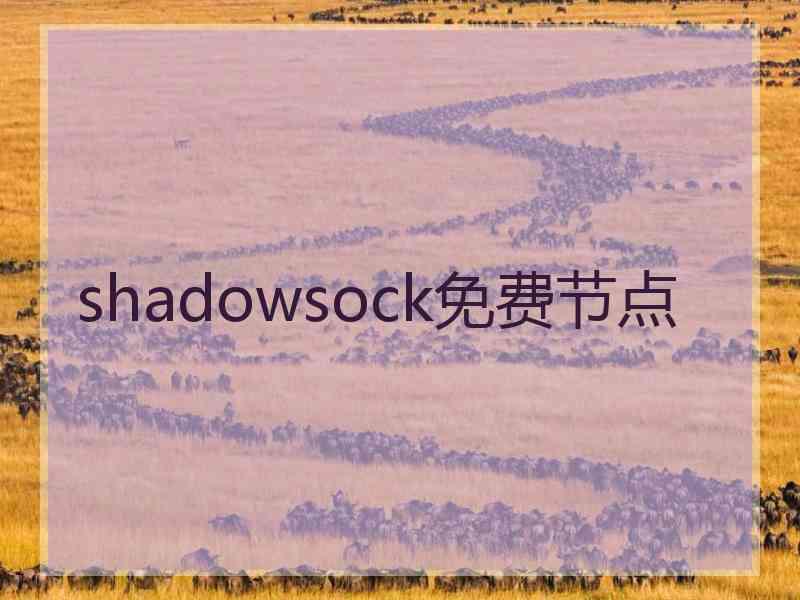 shadowsock免费节点