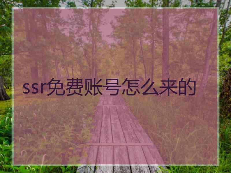 ssr免费账号怎么来的