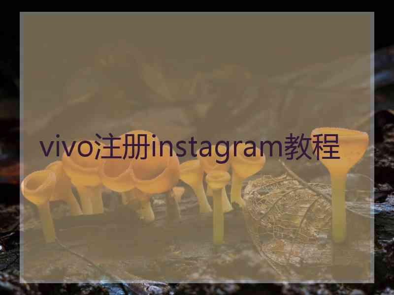 vivo注册instagram教程