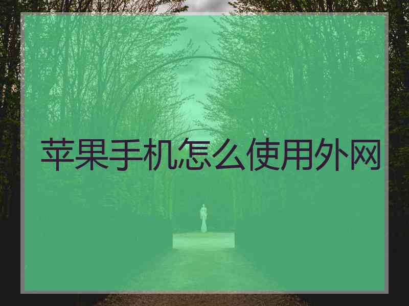 苹果手机怎么使用外网