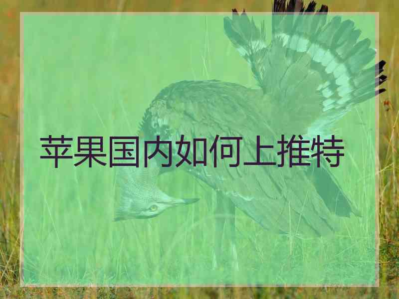 苹果国内如何上推特