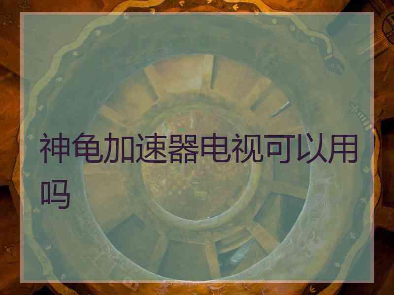 神龟加速器电视可以用吗