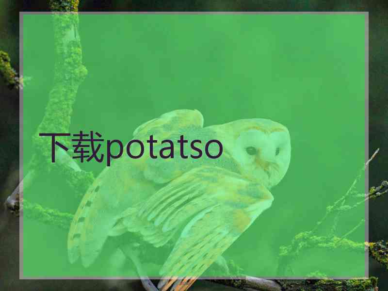 下载potatso