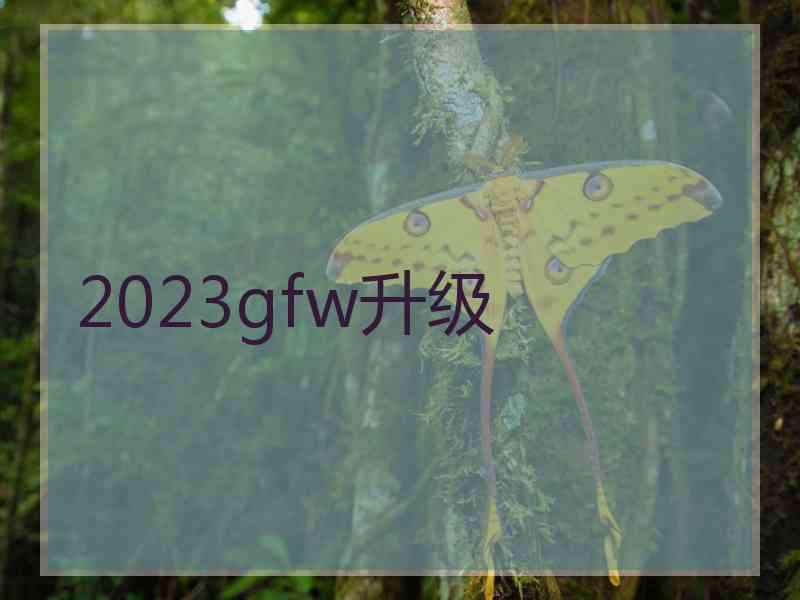 2023gfw升级