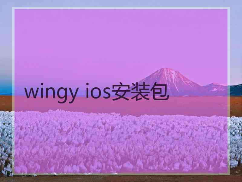 wingy ios安装包