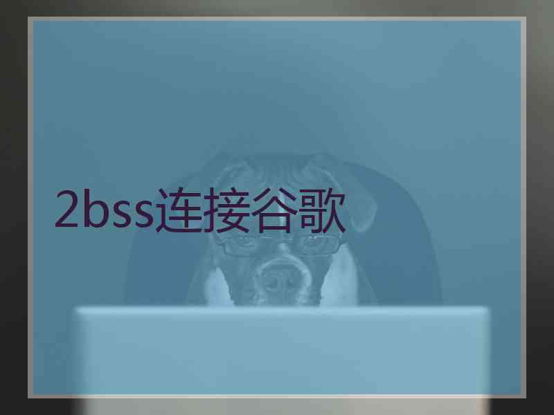 2bss连接谷歌