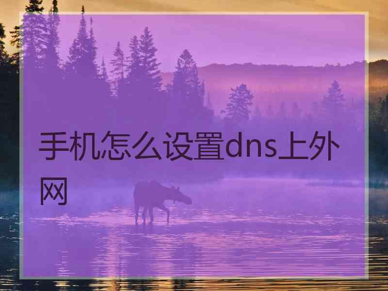 手机怎么设置dns上外网