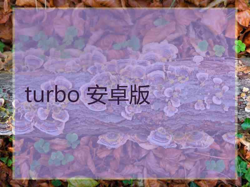 turbo 安卓版