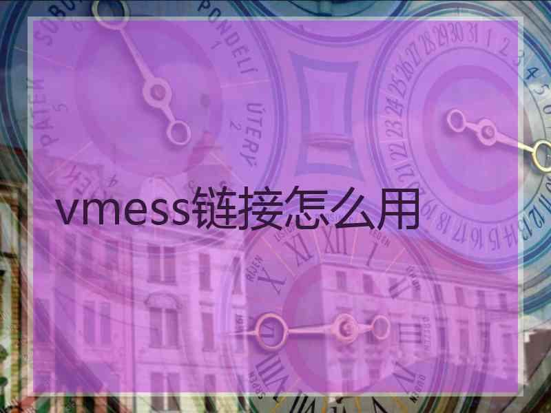 vmess链接怎么用