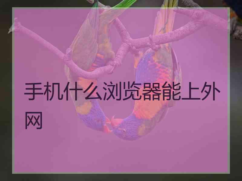 手机什么浏览器能上外网