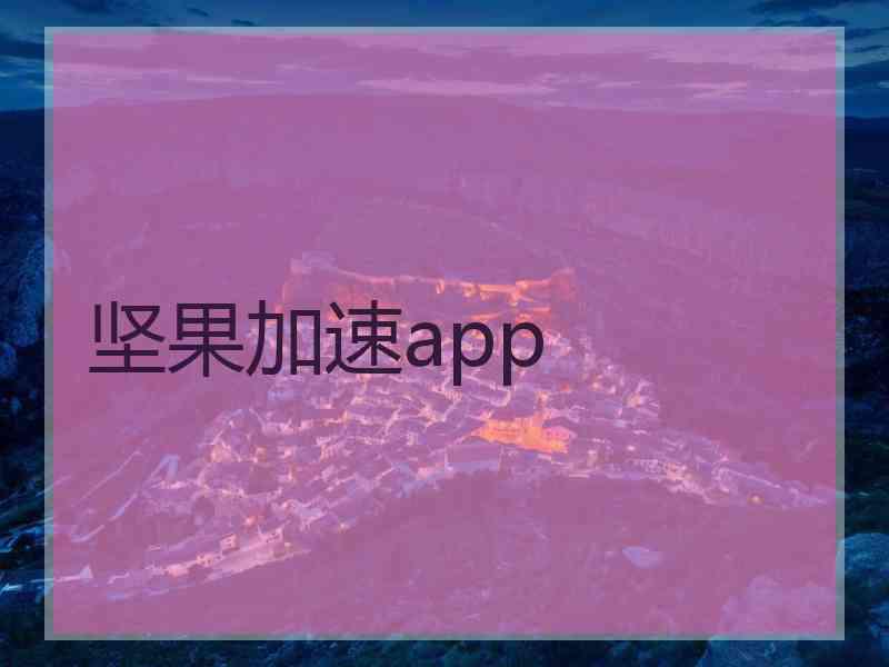 坚果加速app