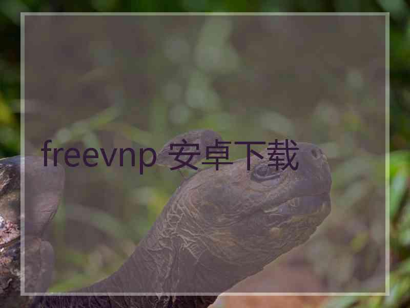 freevnp 安卓下载