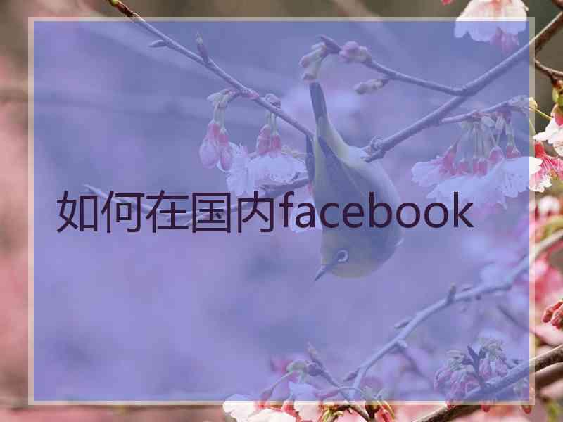 如何在国内facebook