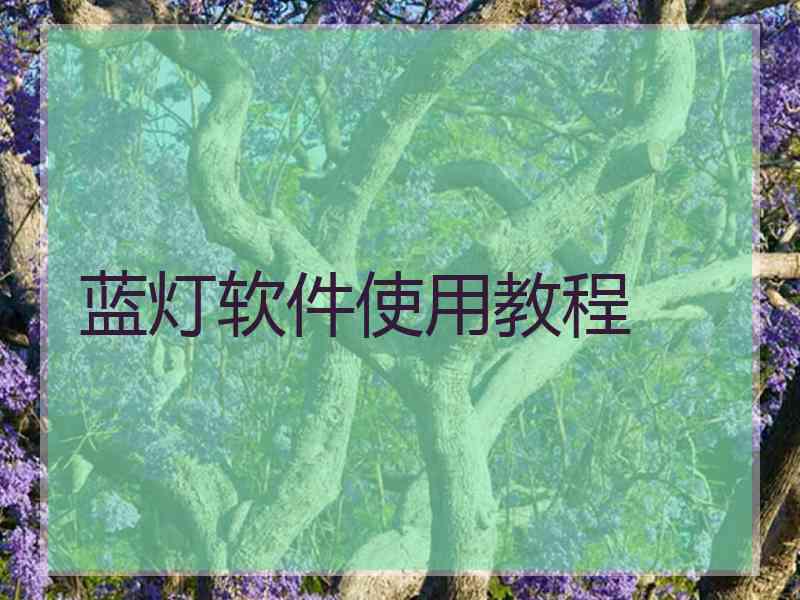 蓝灯软件使用教程