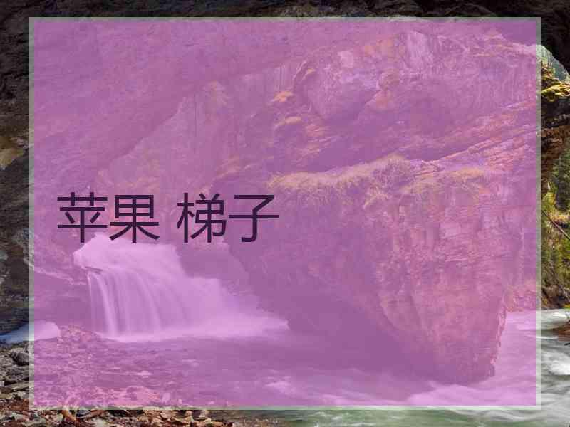 苹果 梯子