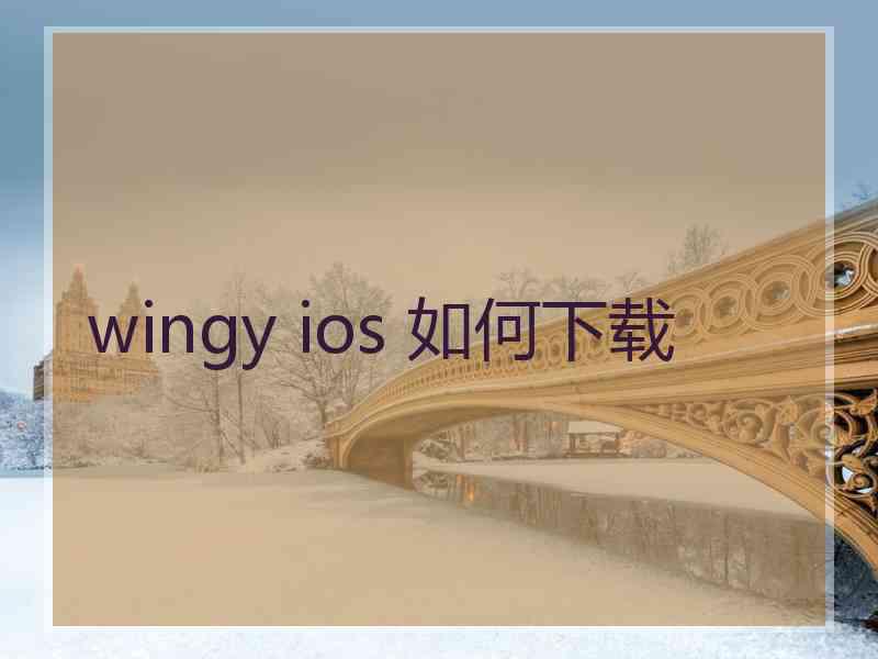 wingy ios 如何下载