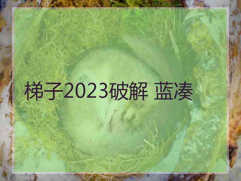 梯子2023破解 蓝凑