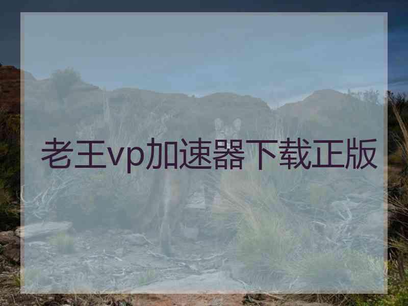 老王vp加速器下载正版