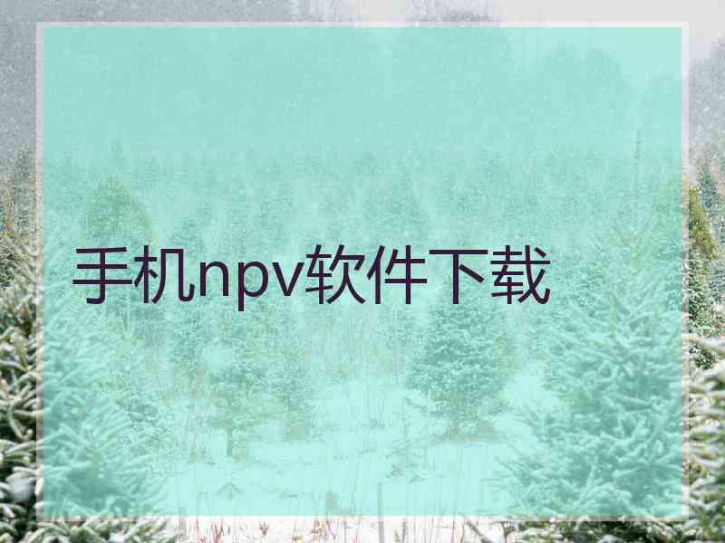 手机npv软件下载