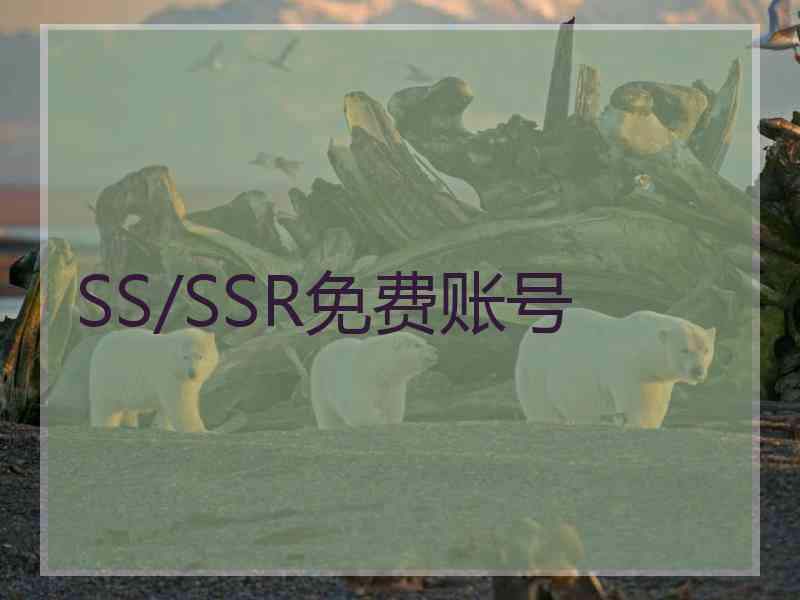 SS/SSR免费账号