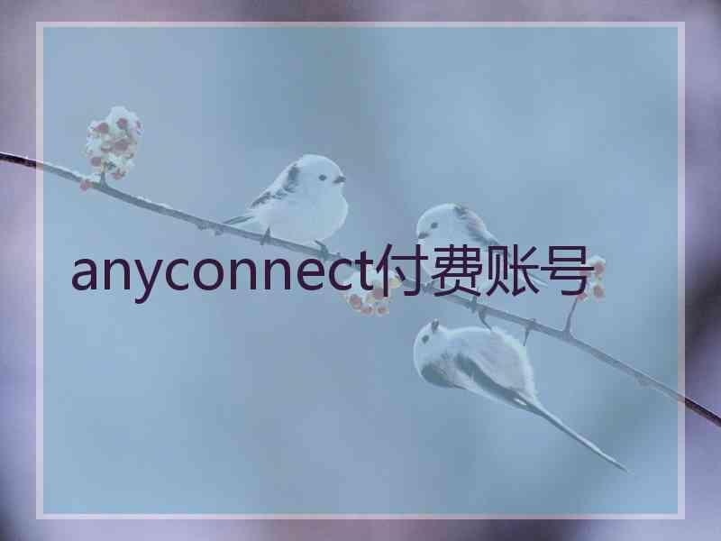 anyconnect付费账号