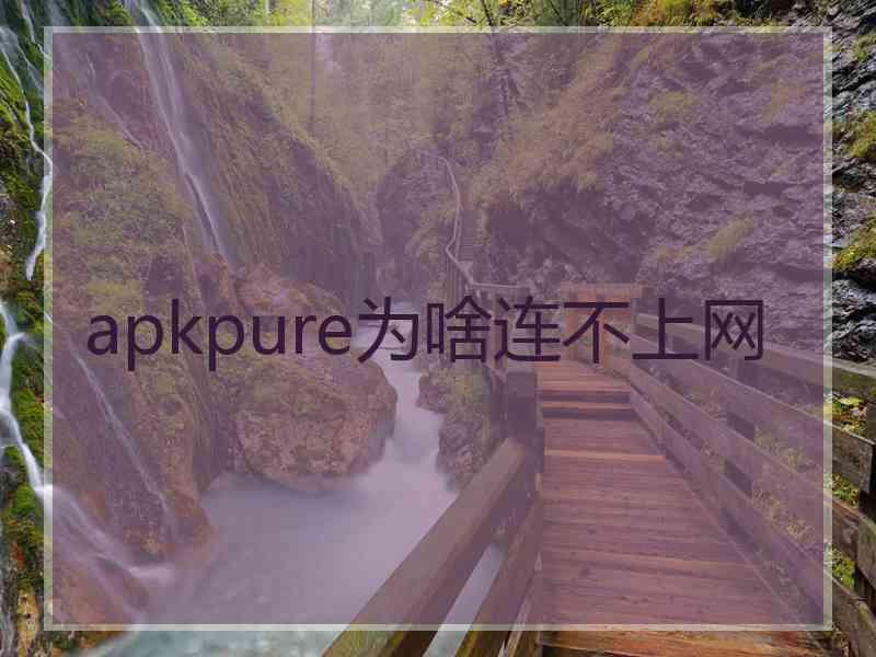 apkpure为啥连不上网