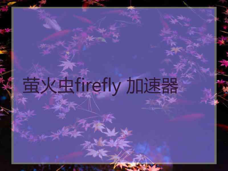 萤火虫firefly 加速器