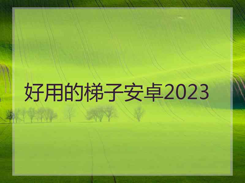 好用的梯子安卓2023