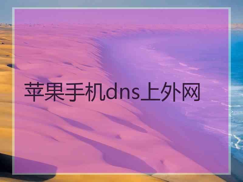 苹果手机dns上外网