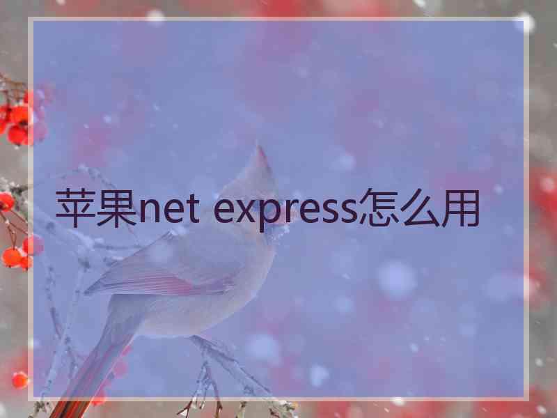 苹果net express怎么用