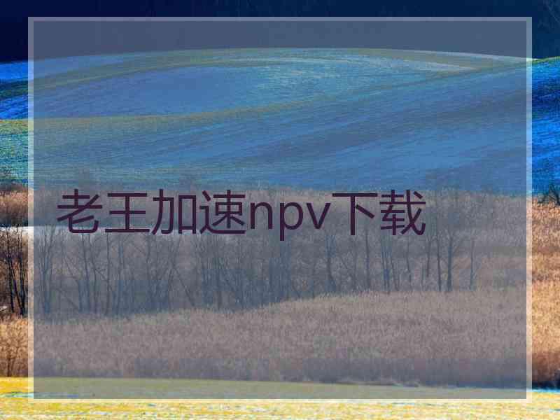 老王加速npv下载