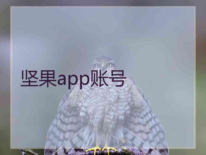 坚果app账号