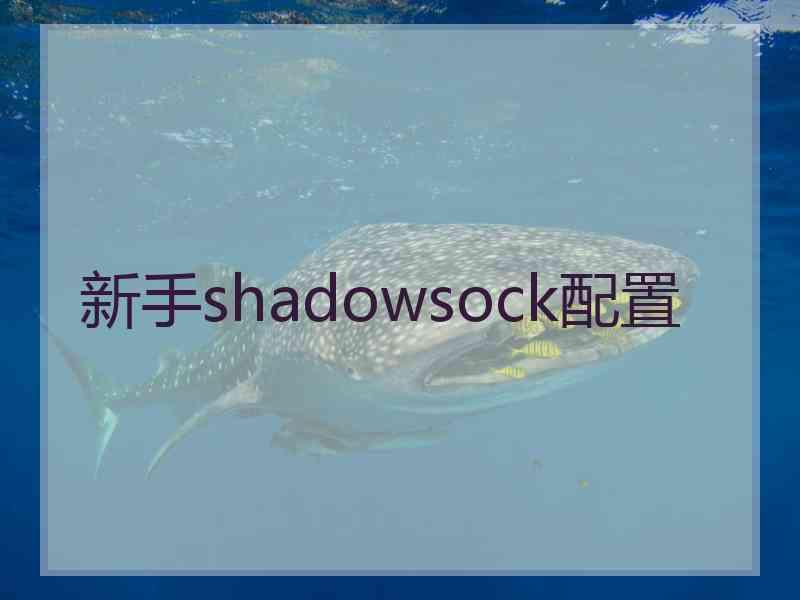 新手shadowsock配置