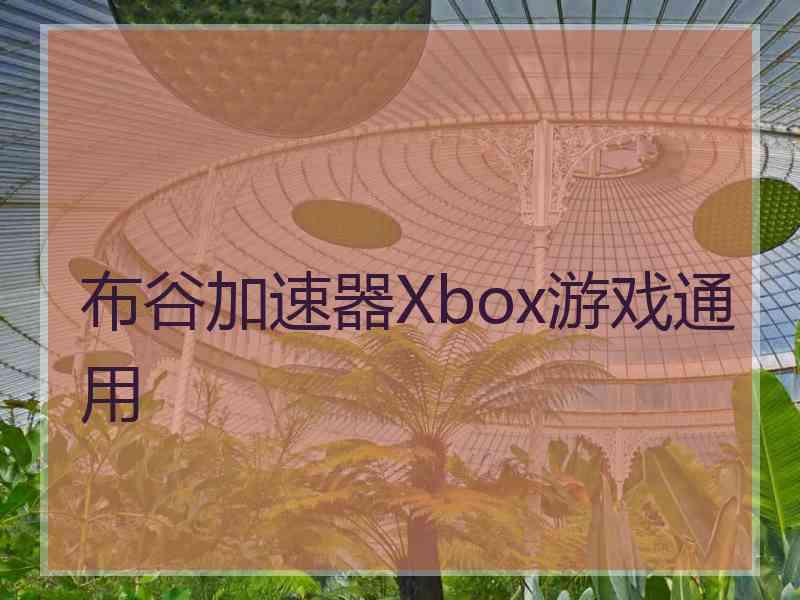 布谷加速器Xbox游戏通用