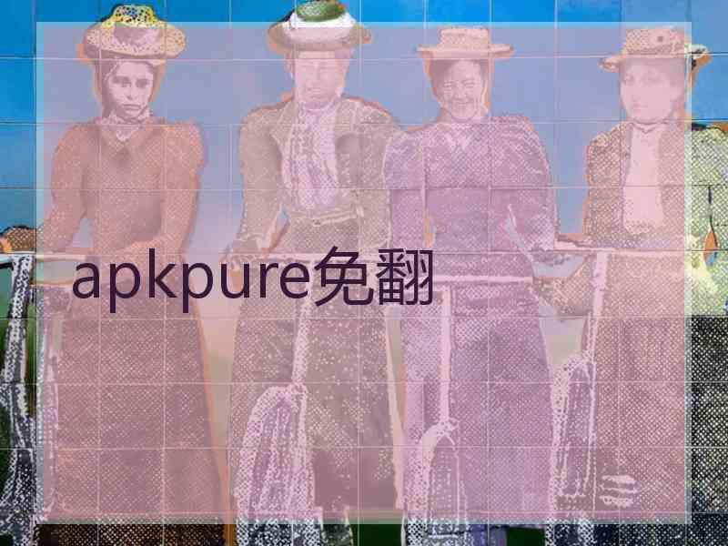 apkpure免翻