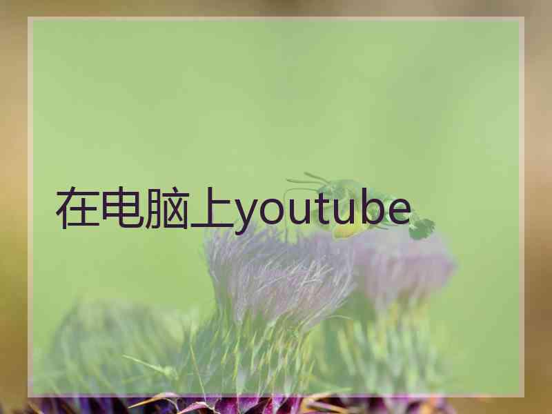 在电脑上youtube