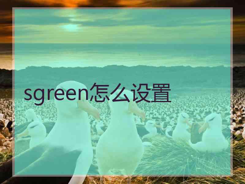 sgreen怎么设置