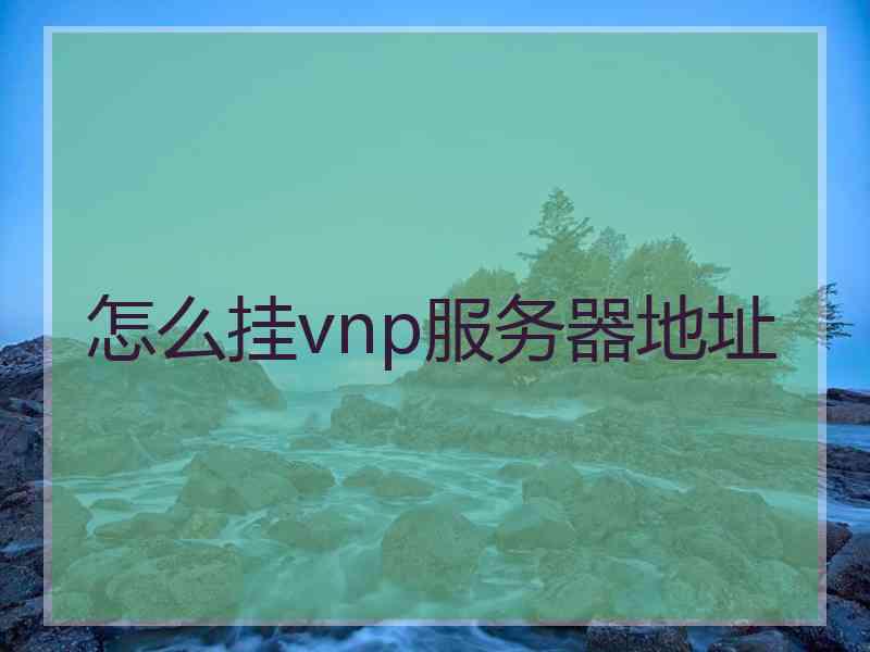 怎么挂vnp服务器地址