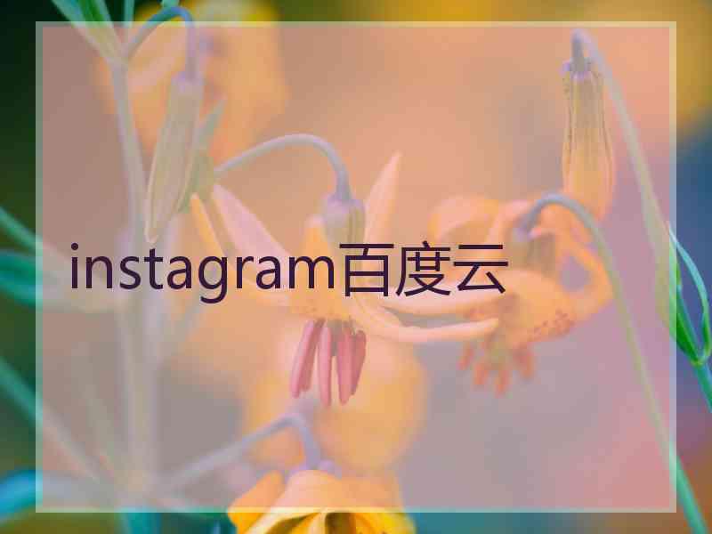 instagram百度云