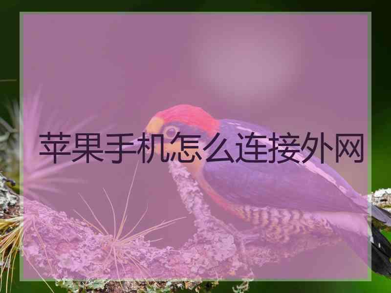 苹果手机怎么连接外网